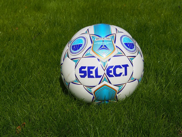 球员进行长 球员进行长