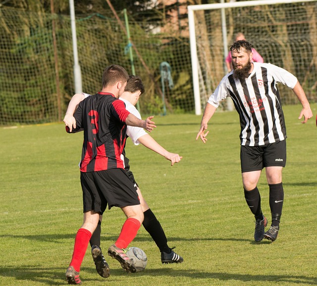 巴薩的報價 巴薩的報價