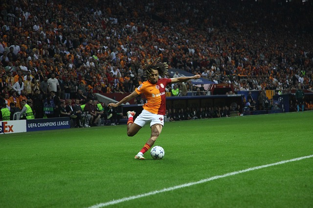 布萊頓免簽米爾納一年！德澤比稱其經驗將給球隊帶來幫助！.