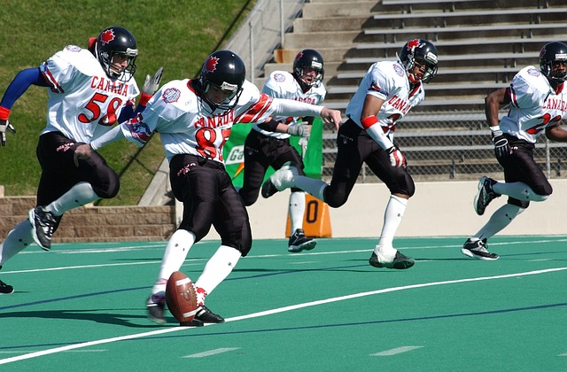 高管的分析 高管的分析